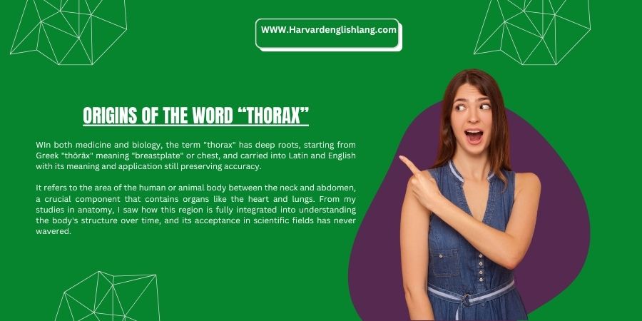 Origins of the Word “Thorax”