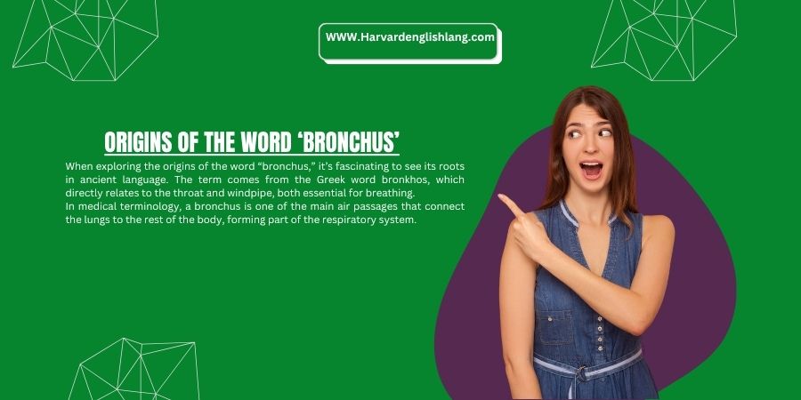 Origins of the Word ‘Bronchus’