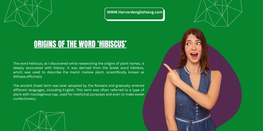 Origins of the Word ‘Hibiscus’