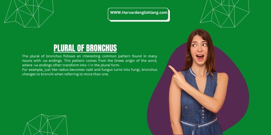 Plural of Bronchus