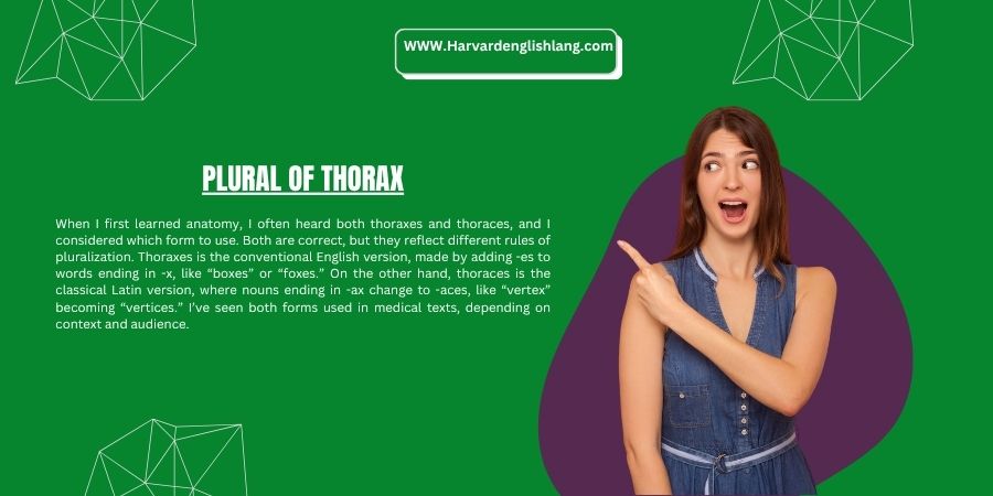Plural of Thorax